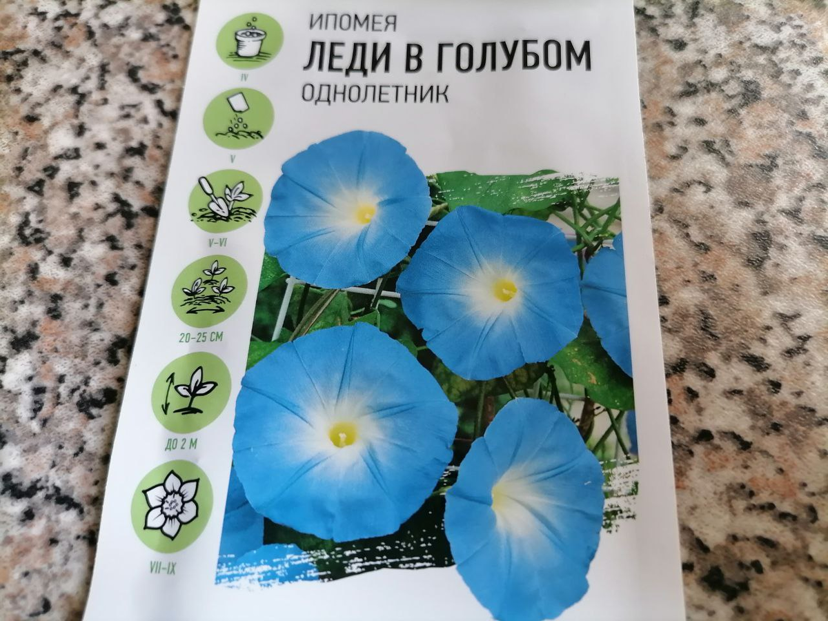 Семена ипомеи Леди в голубом