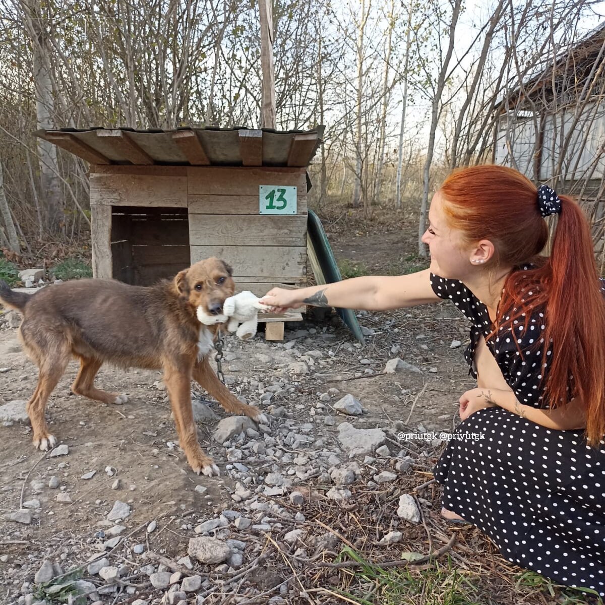 Детский сад 