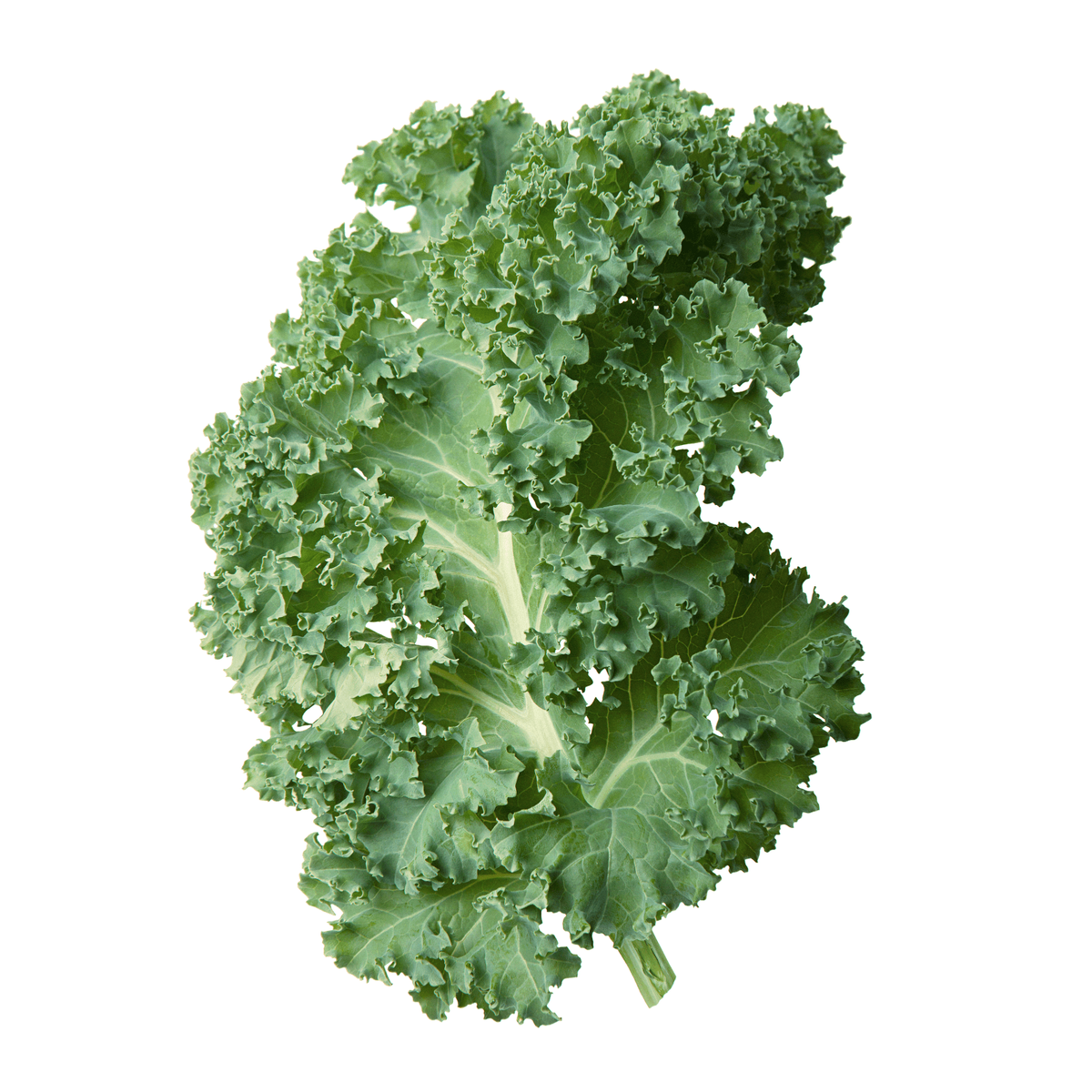 Фото из открытого источника