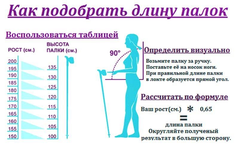 Рассчитать палок ходьбы. Как выбрать палки для скандинавской ходьбы по росту таблица. Как выбрать длину палок для скандинавской ходьбы по росту таблица. Как выбрать размер палок для скандинавской ходьбы по росту таблица. Таблица для выбора палок для скандинавской ходьбы.