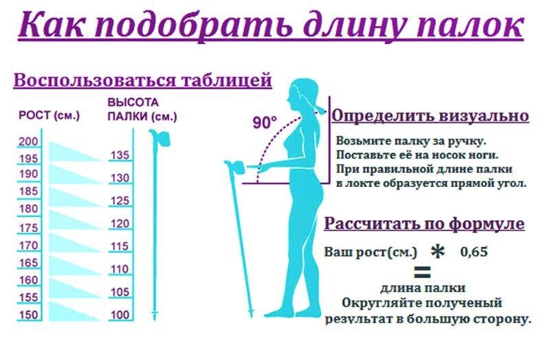 Скандинавские палки для женщин. Скандинавская ходьба как выбрать палки по росту таблица. Как выбрать длину палок для скандинавской ходьбы по росту таблица. Как выбрать размер палок для скандинавской ходьбы по росту таблица. Таблица подбора длины палки скандинавской.