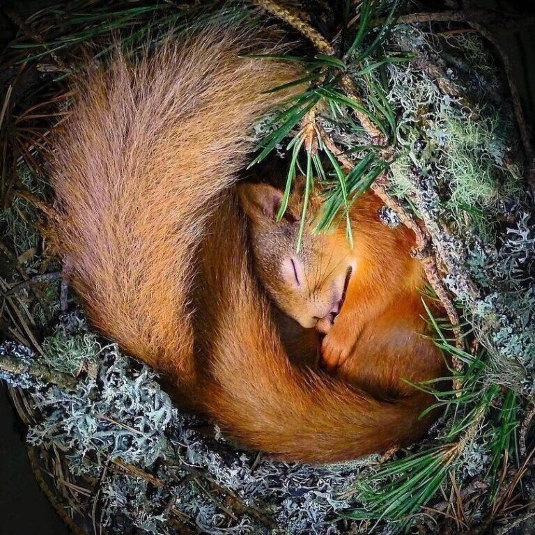 фото из открытого доступа