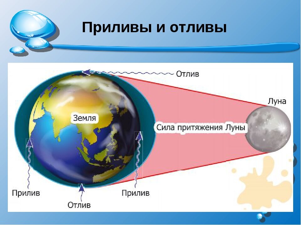 Приливы океана причины. Земля Луна отлив прилив схема. Схема приливов и отливов на земле. Приливы и отливы влияние Луны. Приливы и отливы схема.