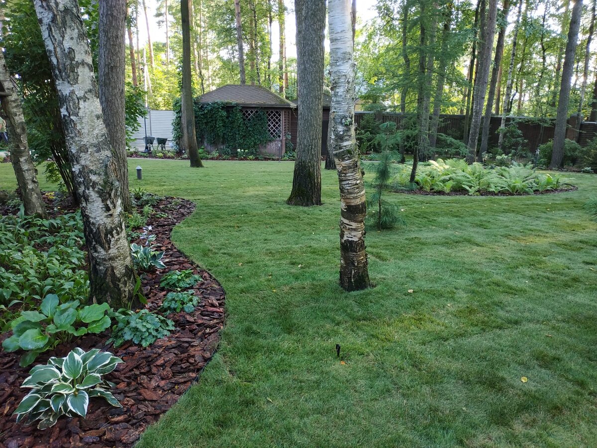 Переделка лесного участка https://gardens4life.ru/