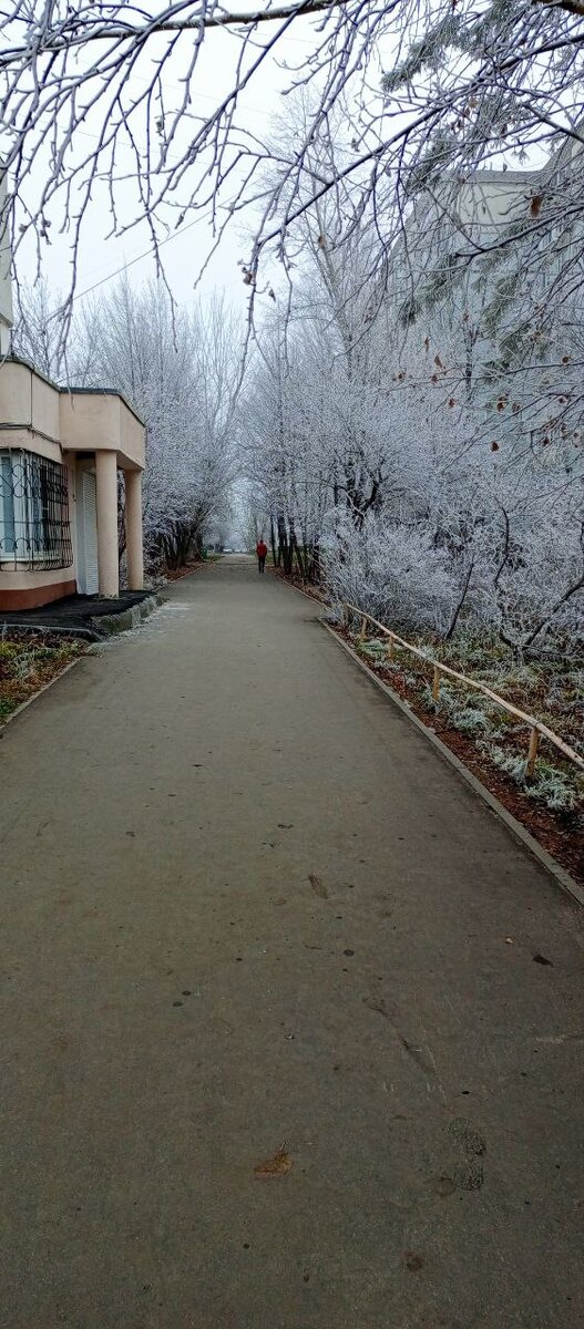 Фото ноябрь 2023 года