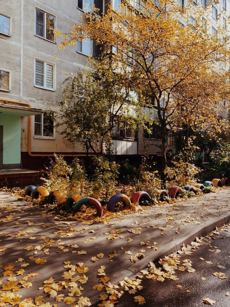 Изображение https://ru.pinterest.com/pin/836191855838924551/