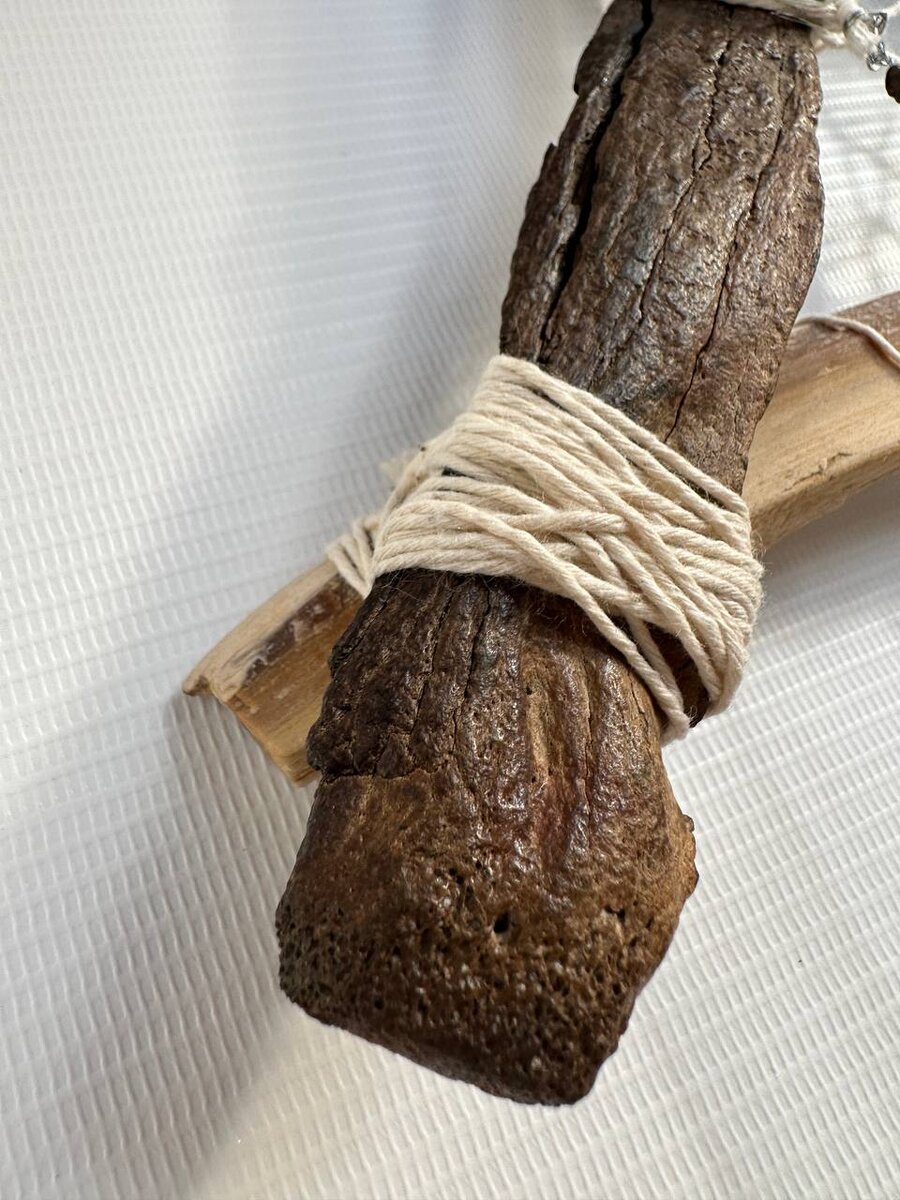 Кость вымершего степного бизона. Плейстоценовая эпоха, около 12 тысяч лет 