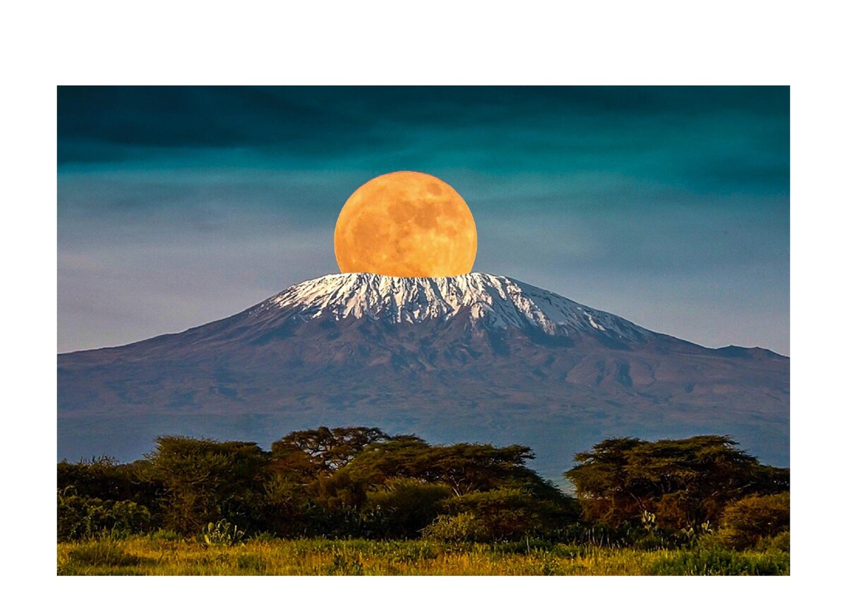 Картинка добавлена из свободного ресурса интернета.