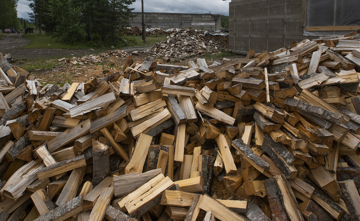 Фото: Юлия Петренко