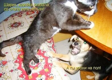 Скриншот в обработке автора