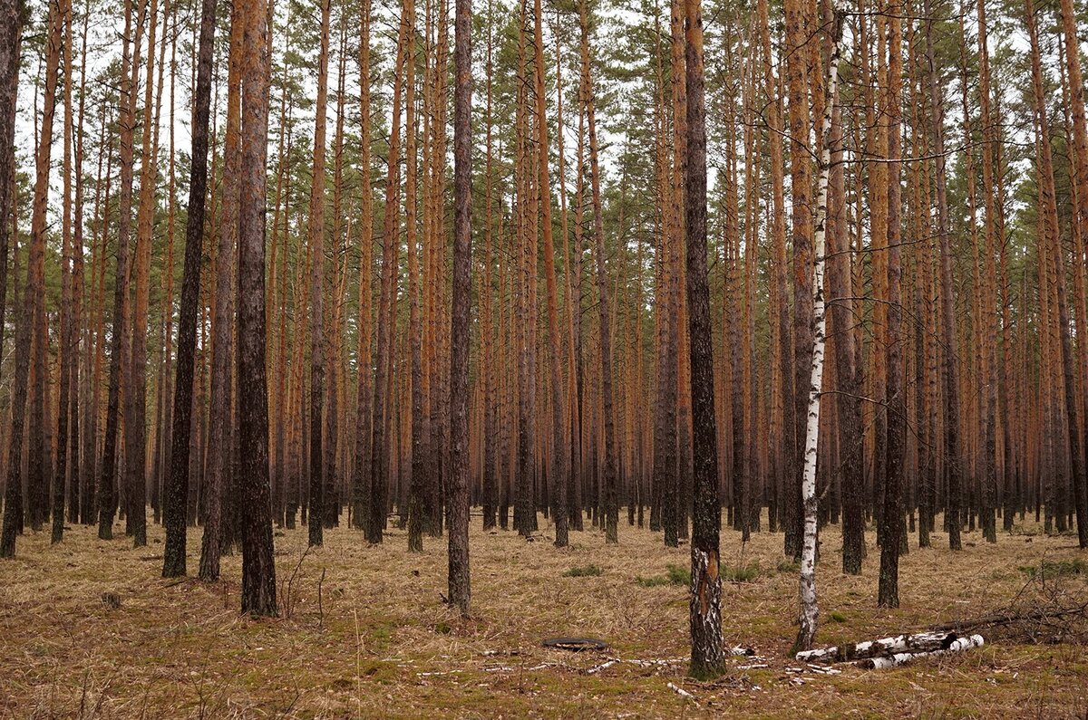  Фото: © Татьяна Хакимулина