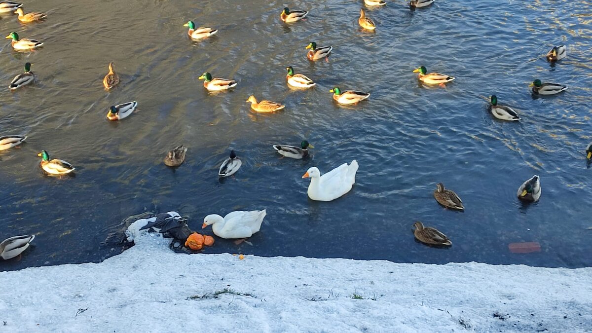 Это мне дочь фотку прислала