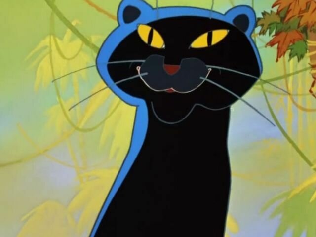 Фото из интернета.