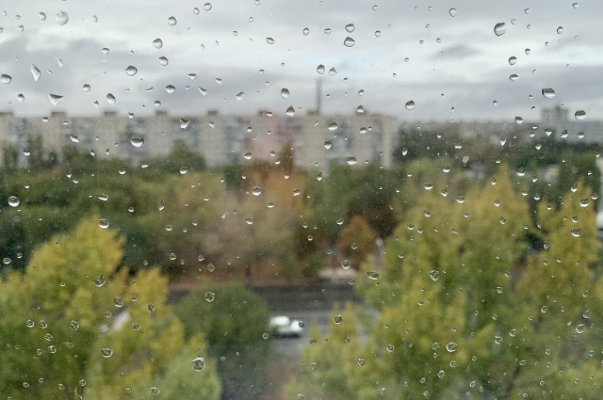    Белгородцев 13 ноября ожидают дожди и сильные порывы ветра