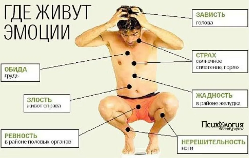 Что значит давить на человека. Где живут эмоции. Эмоции и болезни. Где живут наши эмоции. Эмоции в теле.