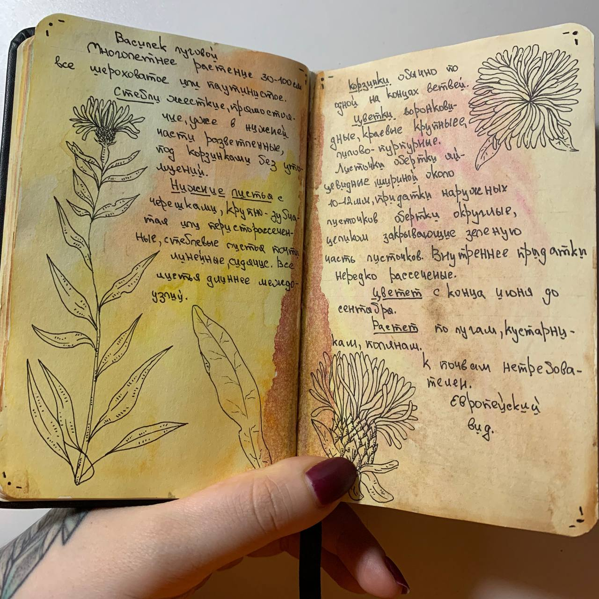 Разворот выполнен автором данного канала.