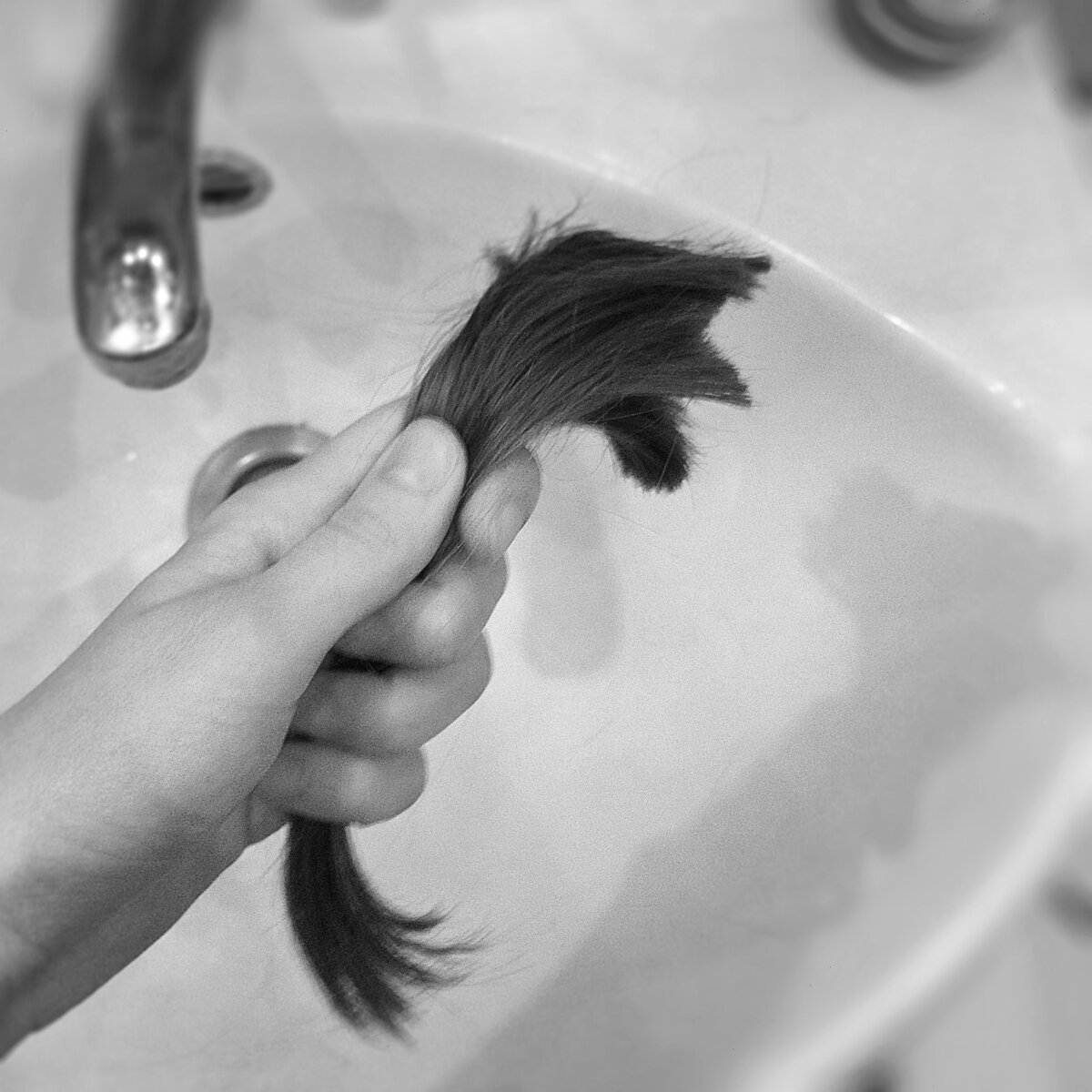 Источник изображения: Яндекс.Картинки