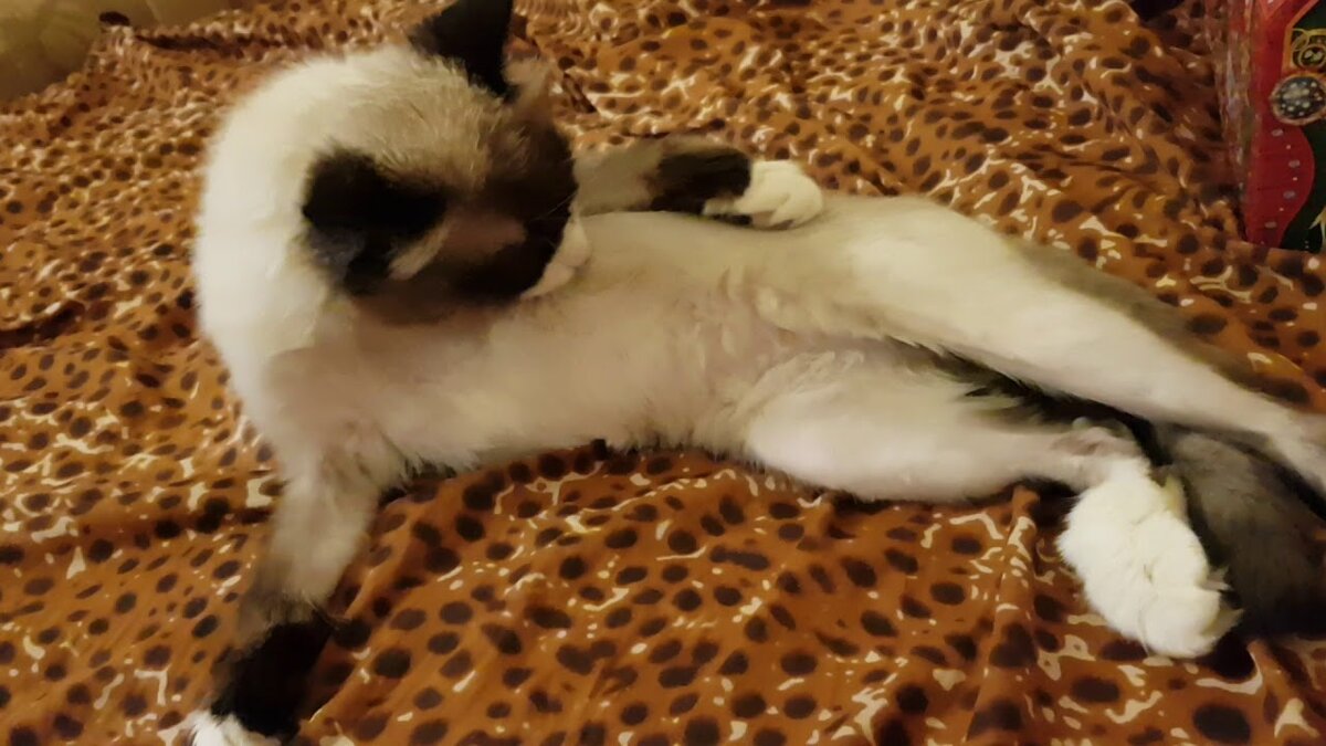 Фото из Интернета. 