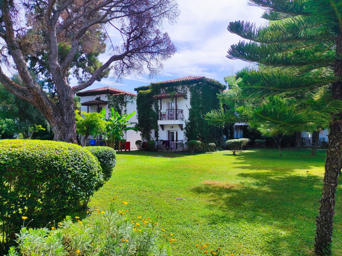 Вид из кофейни на номера в новых корпусах