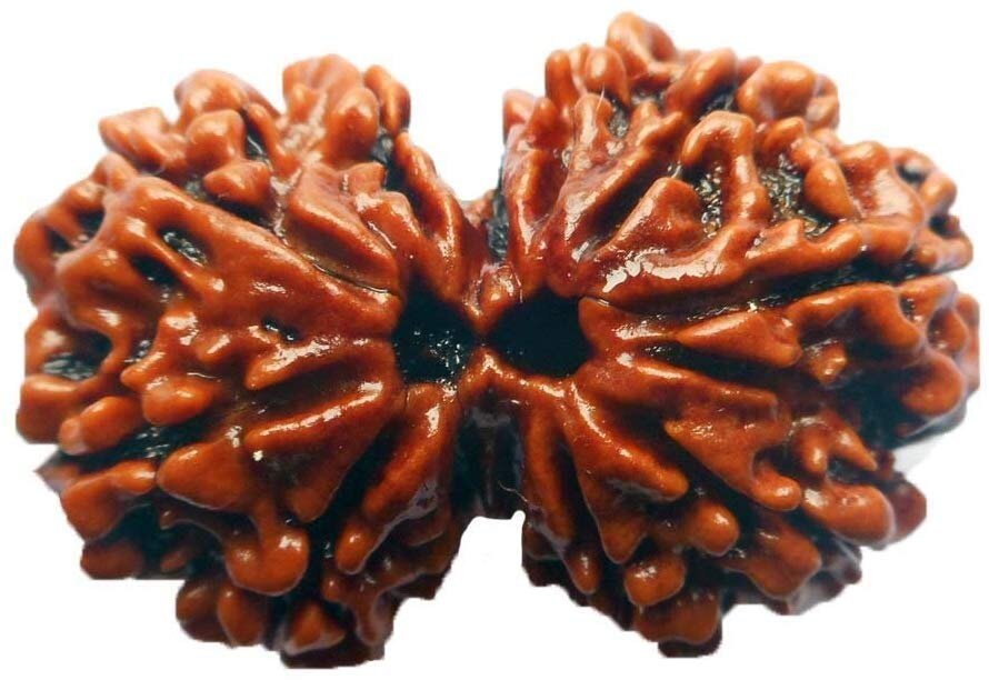 Фото:  Divinity World