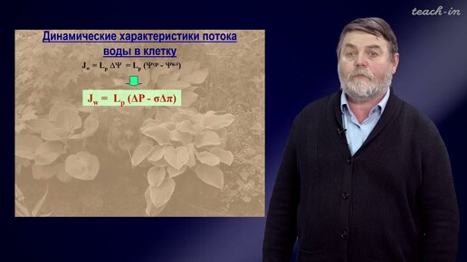 Чуб В.В. - Молекулы в пищевых цепях:от растений до человека - 19. Вода