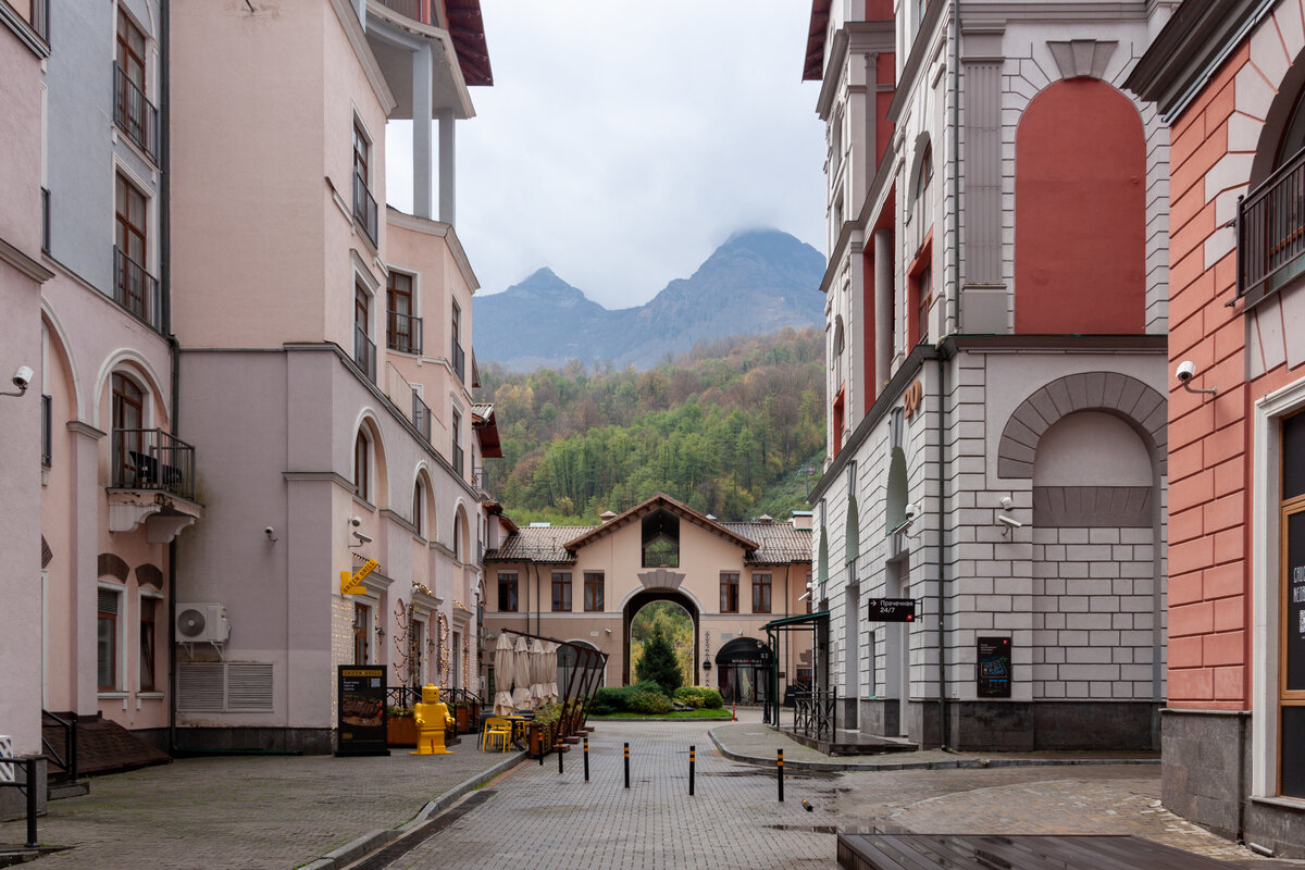 Папоротниковая тропа в Красной Поляне
