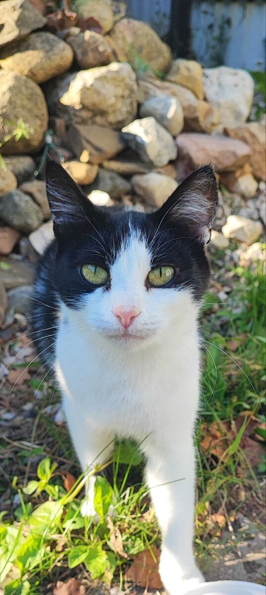 Чернуха заботливая мама