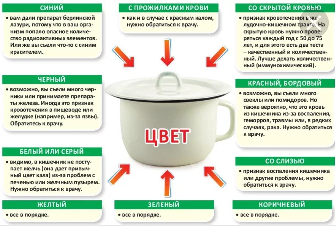 Можно ли много. Цвет кала о чем говорит. Цвет кала в норме. Цвет кала у взрослого о чем говорит. Цвет кала у взрослого нлрм.