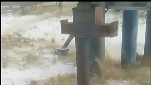 Рыбалка на хищника | Охотничий кот поймал зайца | Дзен