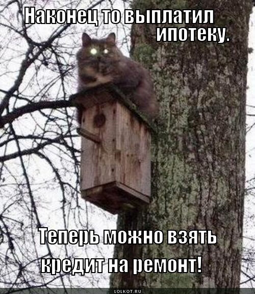 А нефиг брать ипотеку без ремонта!