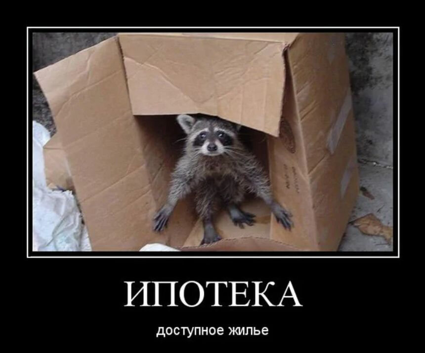 Если негде жить, придется купить квартиру с чужим унитазом...