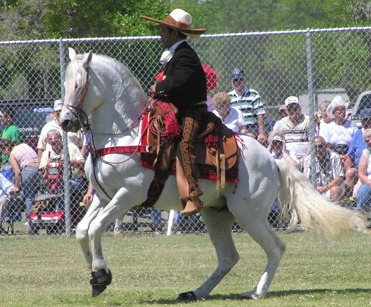 Фото: globetrotting.com.au