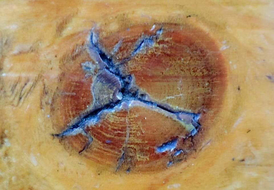 Потресканный сучёк в макро. Это маленький кусочек лавочки, но визуал нам нужен и вот он.