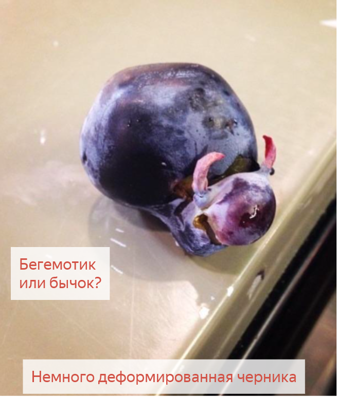 Это слегка деформированная черника