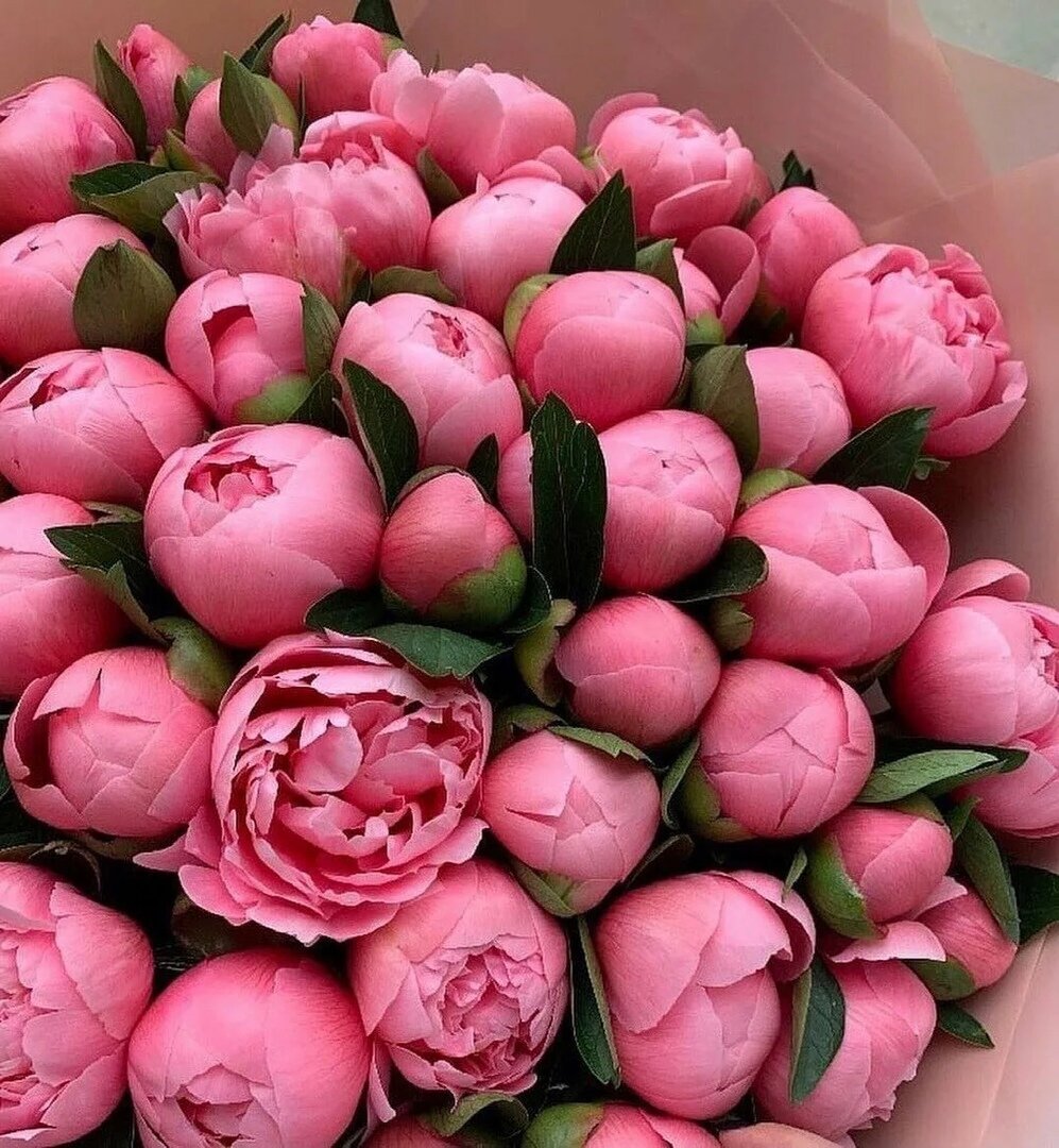 яндекс-картинки