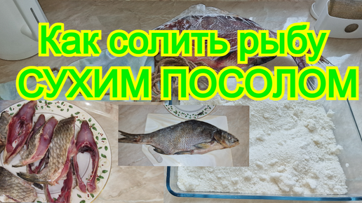 Как солить рыбу сухим посолом