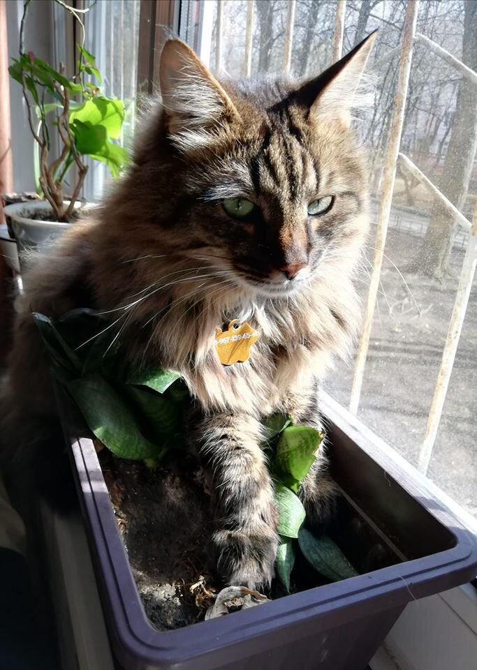 А это было уже позже)) И этих цветов уже нет))