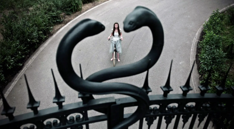 странная лечебница