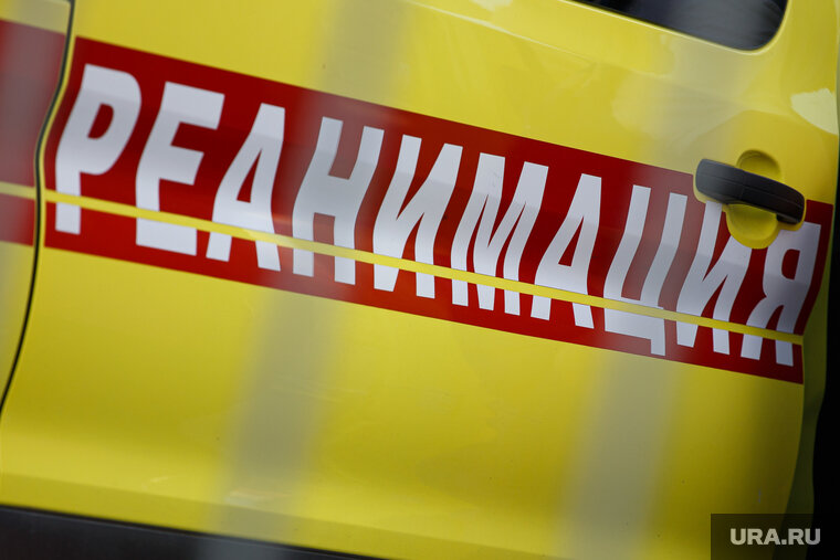    Отар Кушанашвили попал в реанимацию