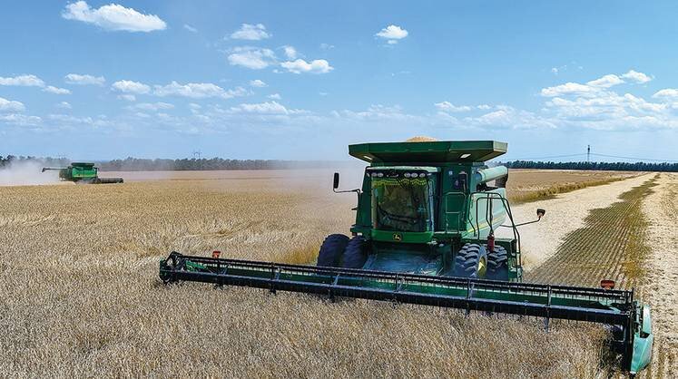    ДМИТРИЙЯГОДКИН/ТАСС Пшеница — главная культура в российском зерновом производстве, на нее приходится более 70% общего урожая