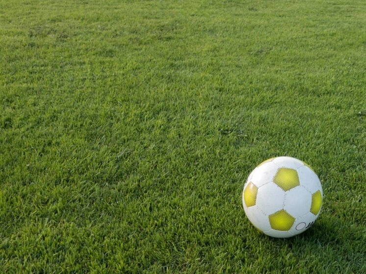     фото: pxhere.com