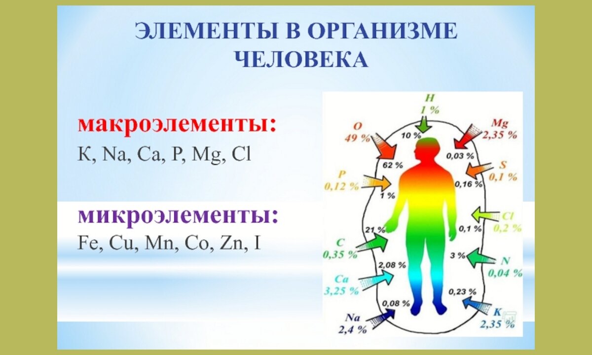 Водный обмен функции