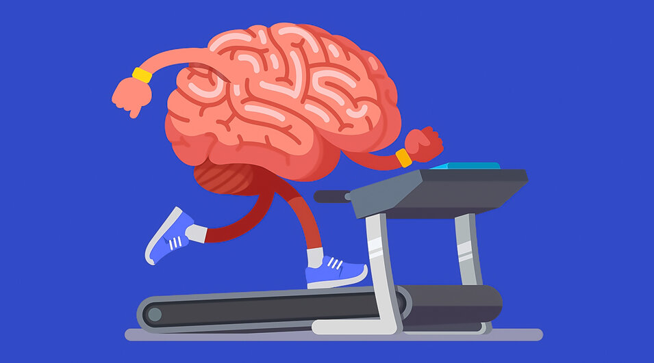 Все изображения взяты из открытых источников.