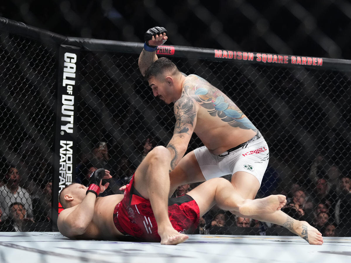 Перейра прохазка 2 бой. UFC 295:.