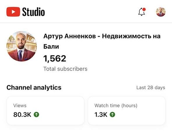 Статистика канала "Артур Анненков"