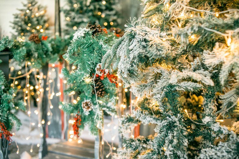   Ольга Григорьева