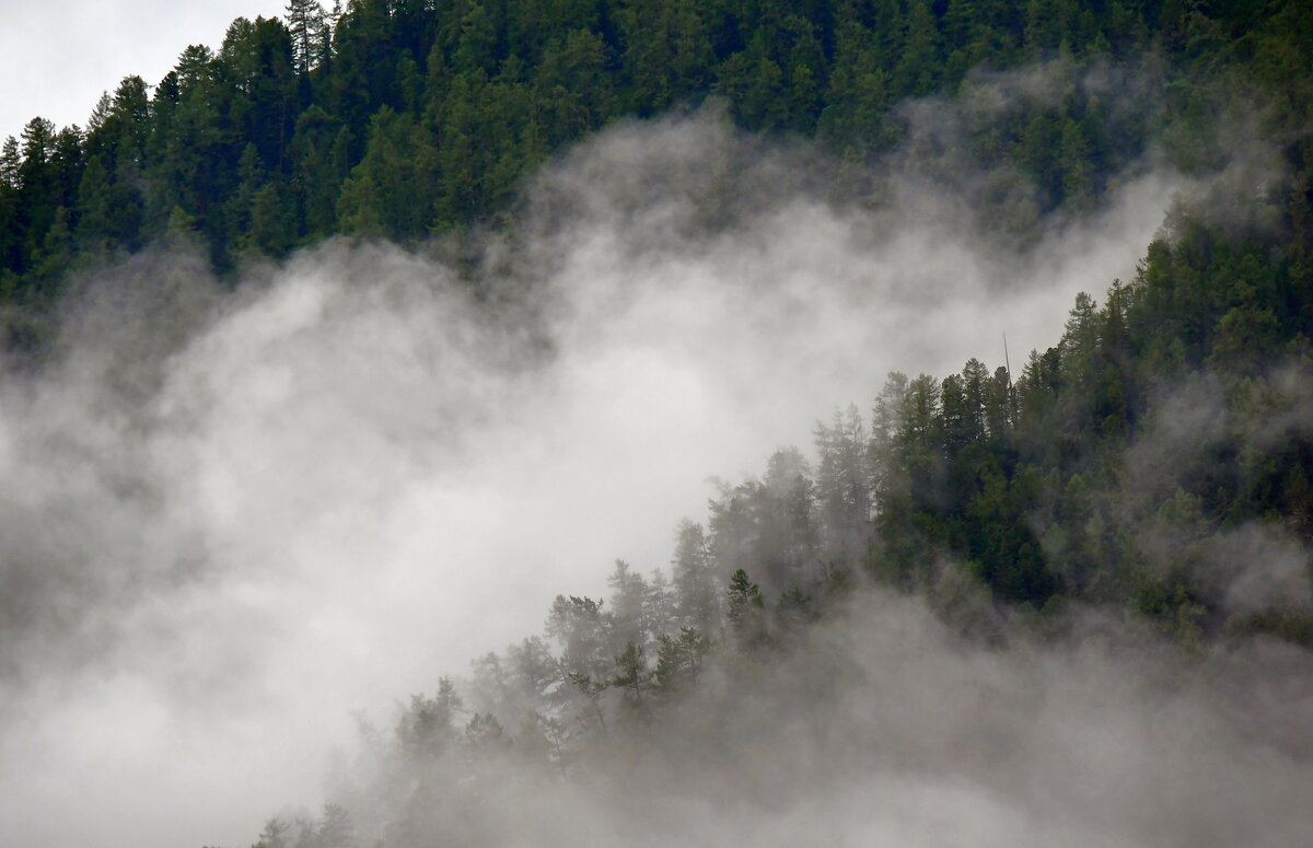 Поросшие темнохвойной тайгой склоны гор у Рахмановского озера укутывает густая пелена утреннего тумана.