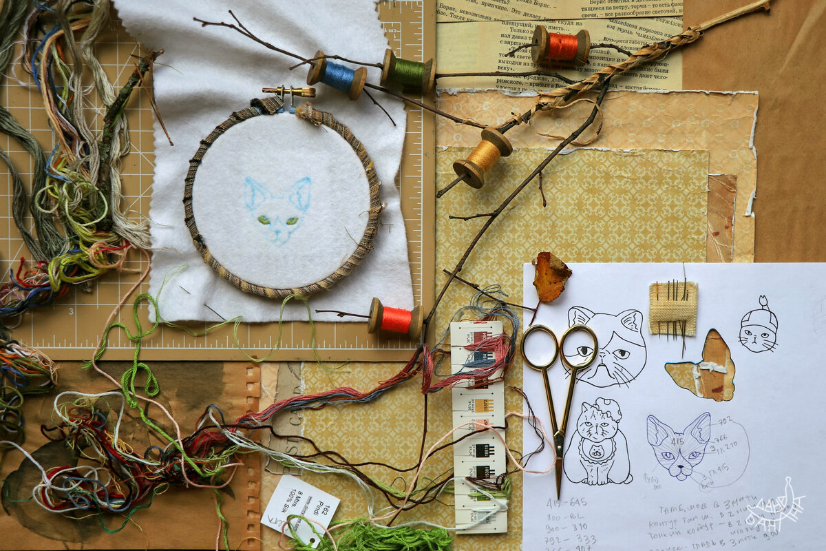 Кисуля из книжки «Кошки. Кошки? Кошки!»