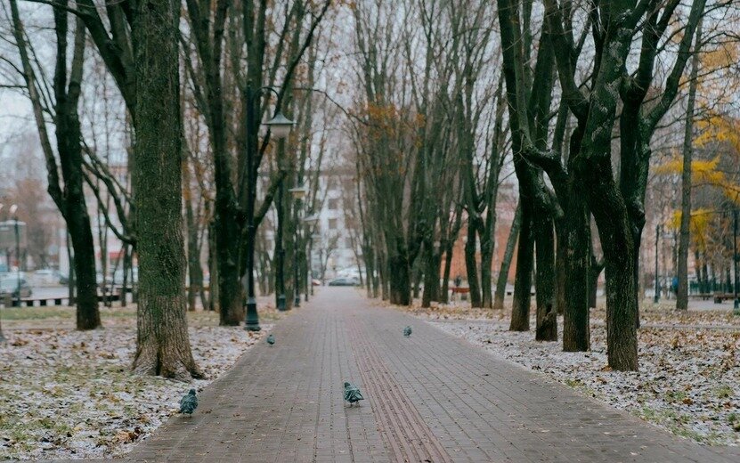    Новости Ижевска на утро 13 ноября: смертельное ДТП на трассе М7 и отказ от запрета абортов