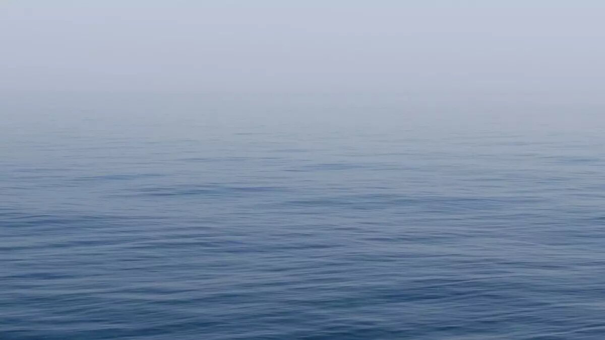     Пропавшая не найдена до сих пор: информация об этом появилась в местных СМИ.